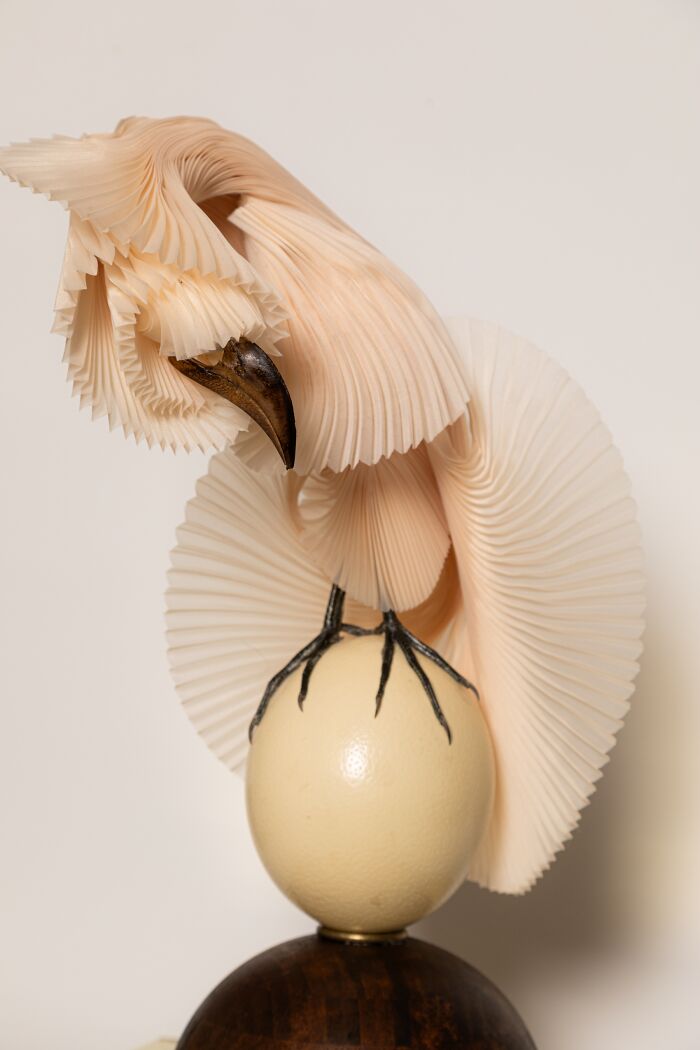 Here Are 18 Surreal Bug Fairies Made From Dead Insects Made By This Amsterdam-Based Artist