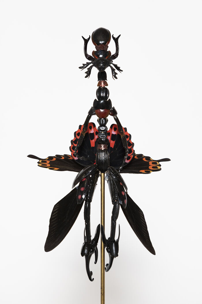 Here Are 18 Surreal Bug Fairies Made From Dead Insects Made By This Amsterdam-Based Artist