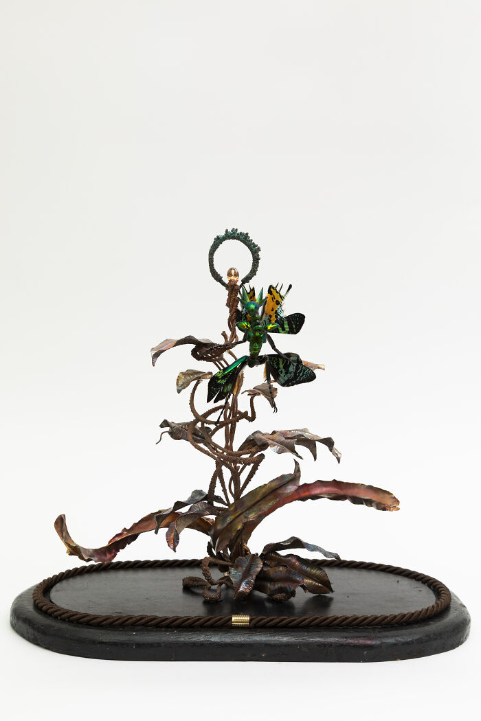 Here Are 18 Surreal Bug Fairies Made From Dead Insects Made By This Amsterdam-Based Artist