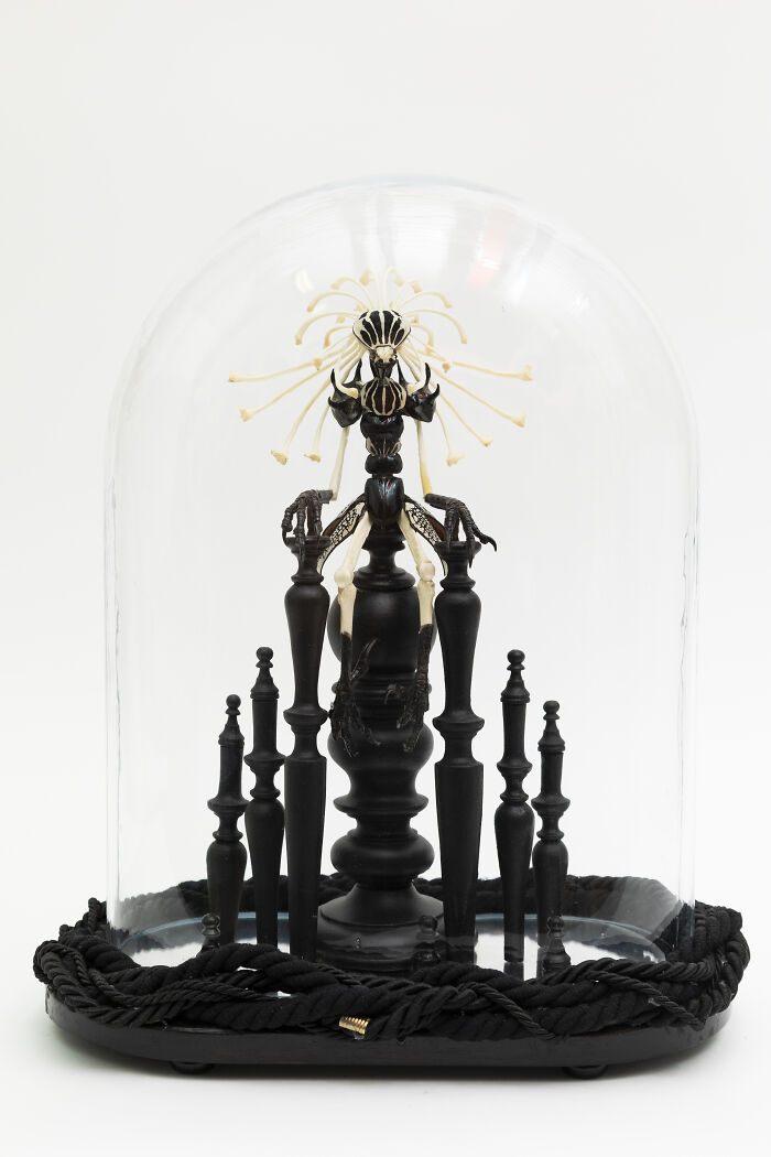 Here Are 18 Surreal Bug Fairies Made From Dead Insects Made By This Amsterdam-Based Artist