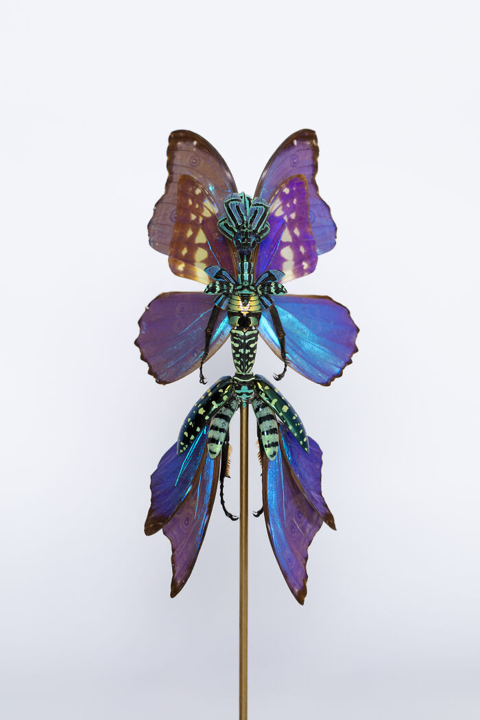 Here Are 18 Surreal Bug Fairies Made From Dead Insects Made By This Amsterdam-Based Artist