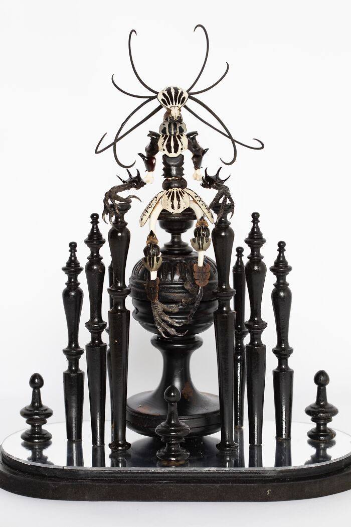 Here Are 18 Surreal Bug Fairies Made From Dead Insects Made By This Amsterdam-Based Artist