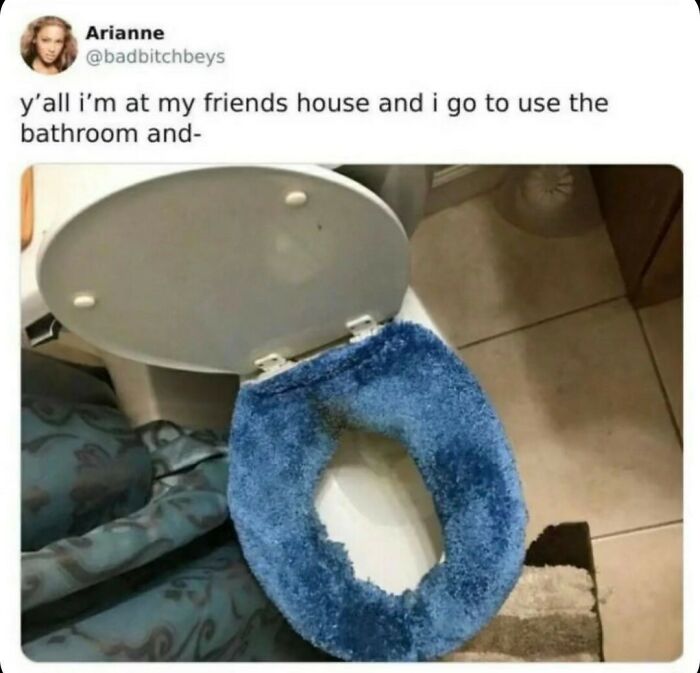 Blue fuzzy toilet seat cover in bathroom shown in funny random meme
