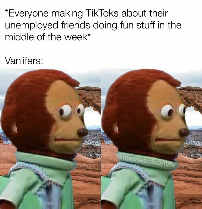 Monkey puppet meme depicting the reality of living out of a van, specifically van life and homelessness.