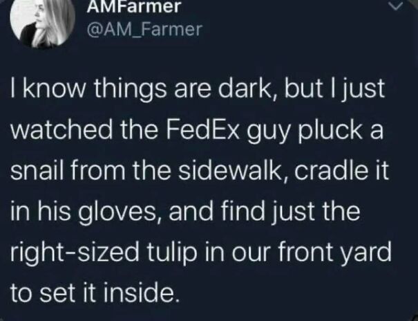 A positive Twitter post from @AM_Farmer about a FedEx guy caring for a snail. It might make your day!