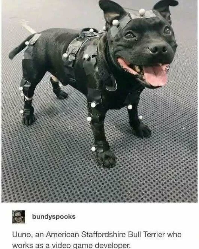 83 Soul-Healing Posts Full Of ‘Very Important Positivity’ To Make Your Day A Little Better (New Pics)