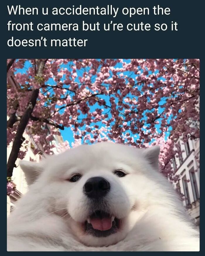 83 Soul-Healing Posts Full Of ‘Very Important Positivity’ To Make Your Day A Little Better (New Pics)
