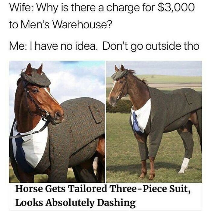 Horse dressed in tailored three-piece suit standing outdoors