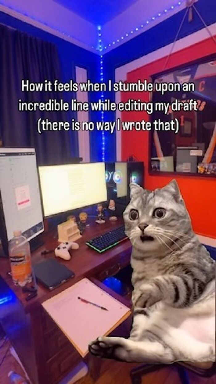 Funny-Memes-Writers-Memesforwriters