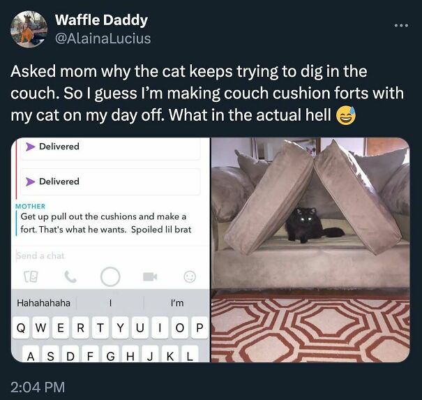 A tweet from Waffle Daddy with a black cat sitting between couch cushions like a fort. Might make your day!