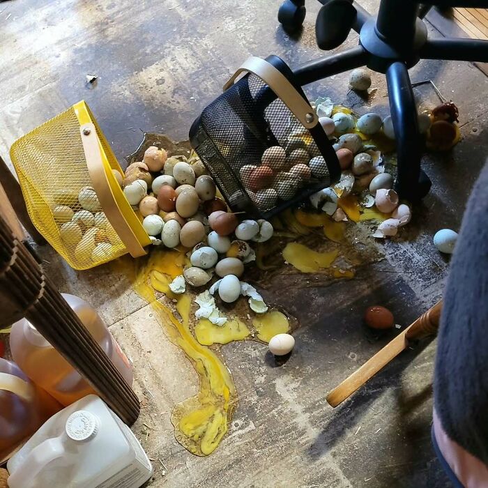 Spilled eggshells and yolk mess on floor after kitchen accident