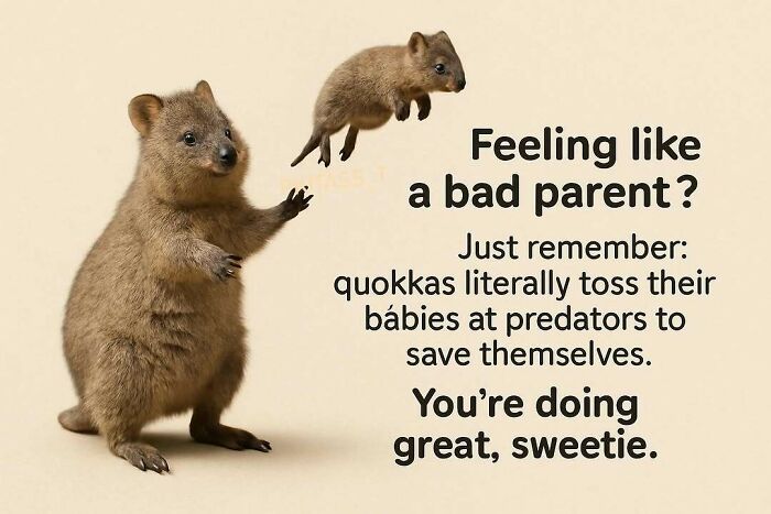 A quokka meme showing an adult quokka tossing a baby quokka, with text about bad parents. Brings laughter.