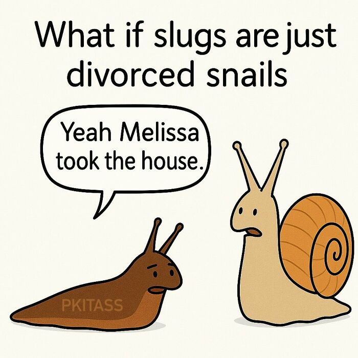 A slug and a snail cartoon, with text asking if slugs are divorced snails. Funny memes to bring laughter.