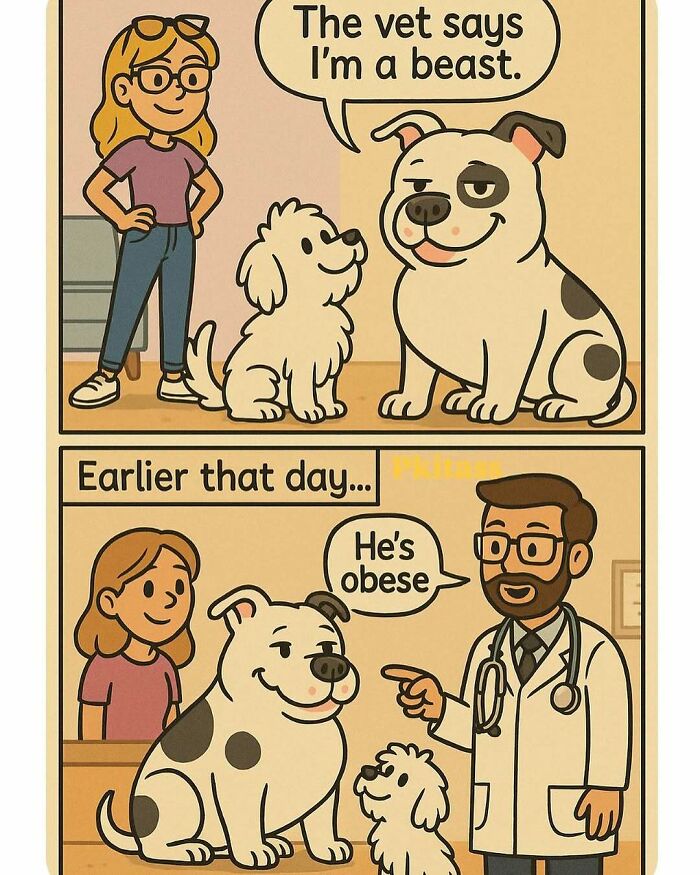 A comic meme showing a dog misunderstanding his vet's diagnosis of obesity as a compliment. Laughter guaranteed.