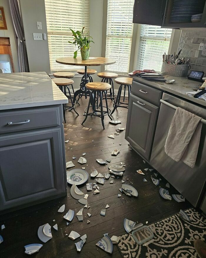 Broken ceramic dishes scattered across kitchen hardwood floor