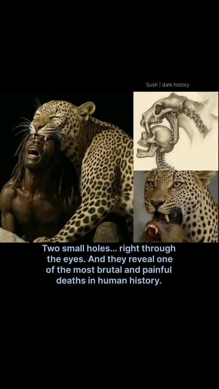 Image of a leopard biting a man's head with an anatomical drawing highlighting brutal deaths in history