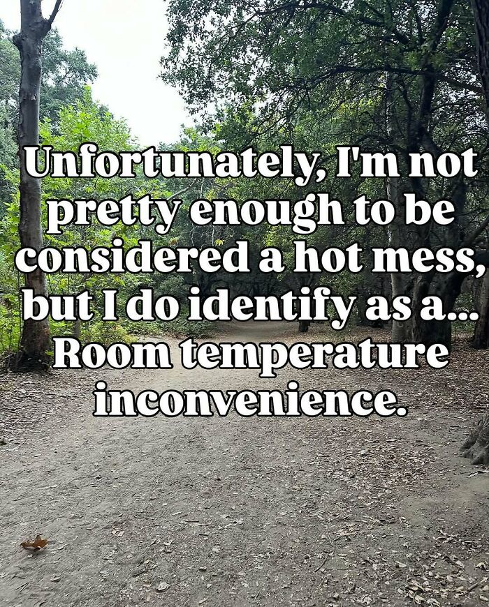 A funny random meme with text: I'm not pretty enough to be a hot mess, but a room temperature inconvenience.