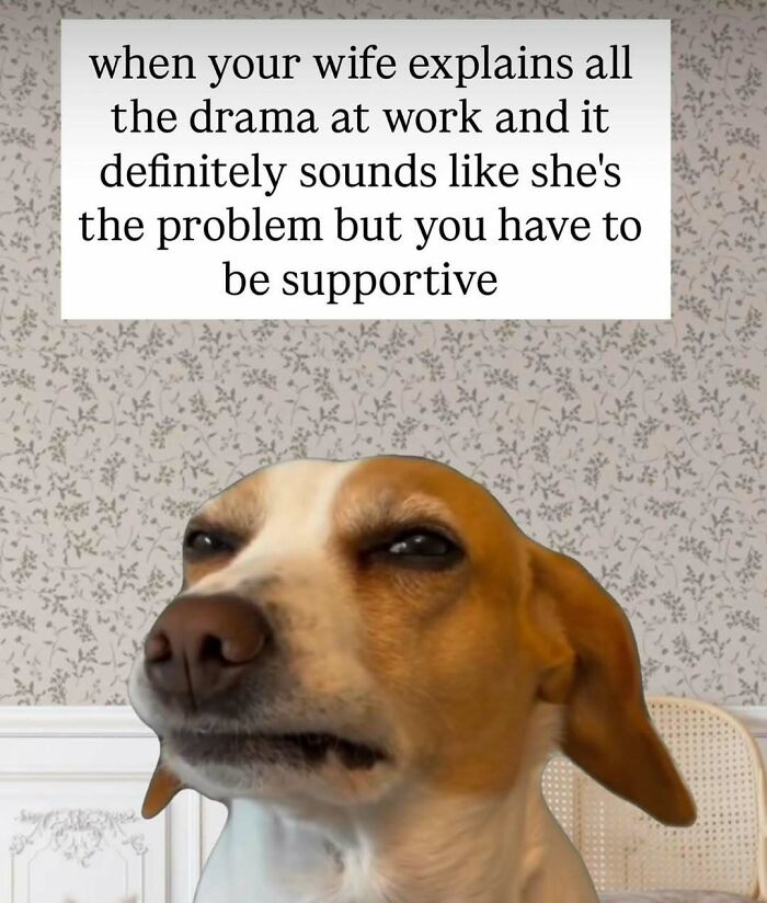 A skeptical dog meme for laughter, as a wife explains work drama, but she sounds like the problem.