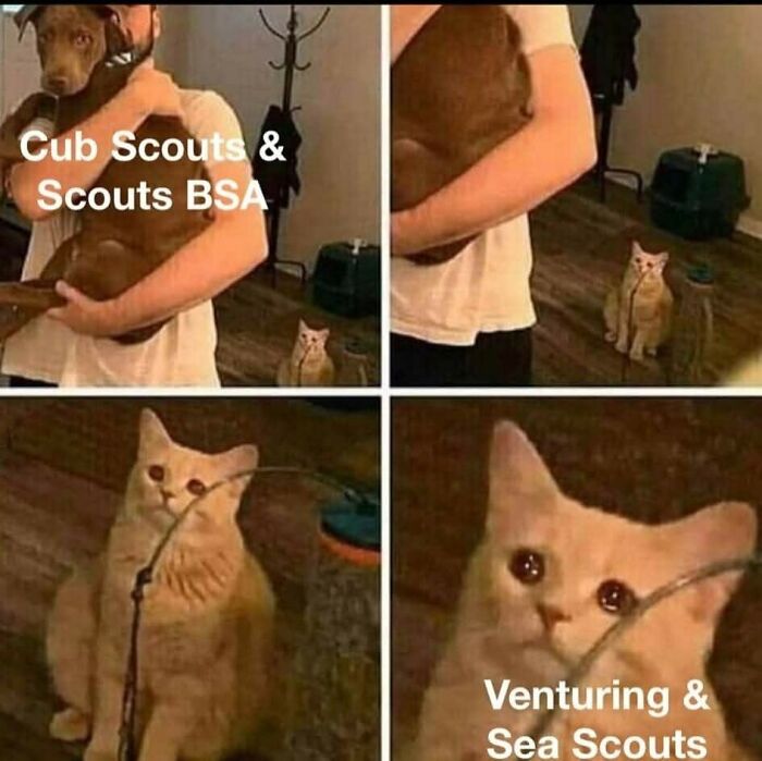 Person holding dog and sad cat labeled Cub Scouts vs Venturing meme