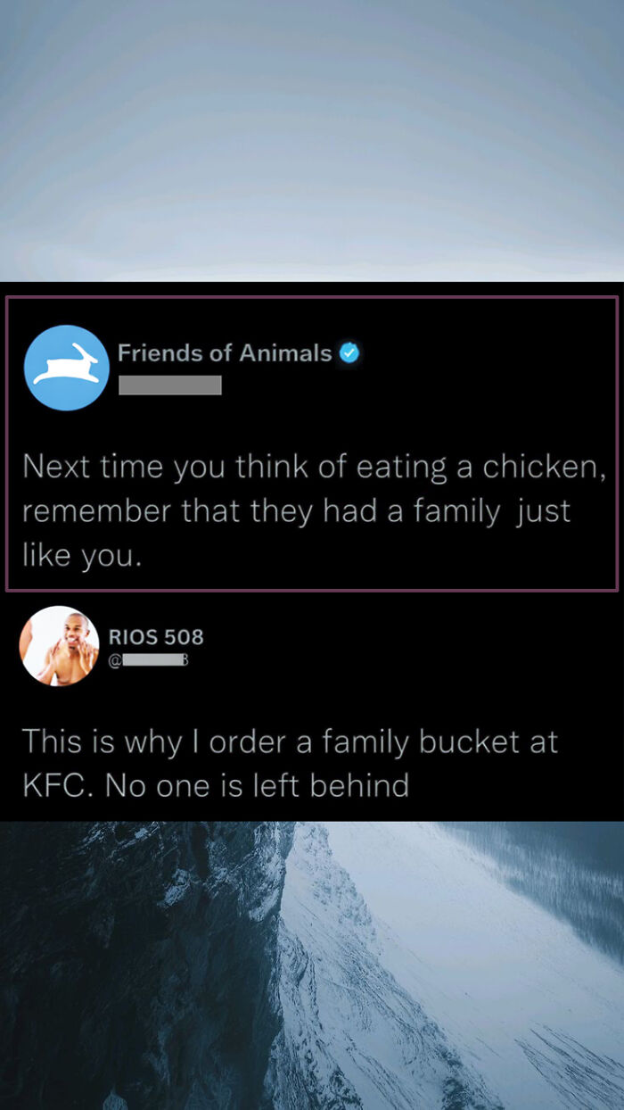 Funny animal eating comment with family bucket KFC joke
