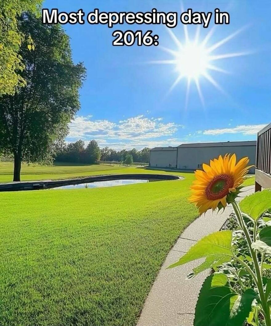 Sunny day with a sunflower under bright sun captioned as most depressing day in 2016 meme