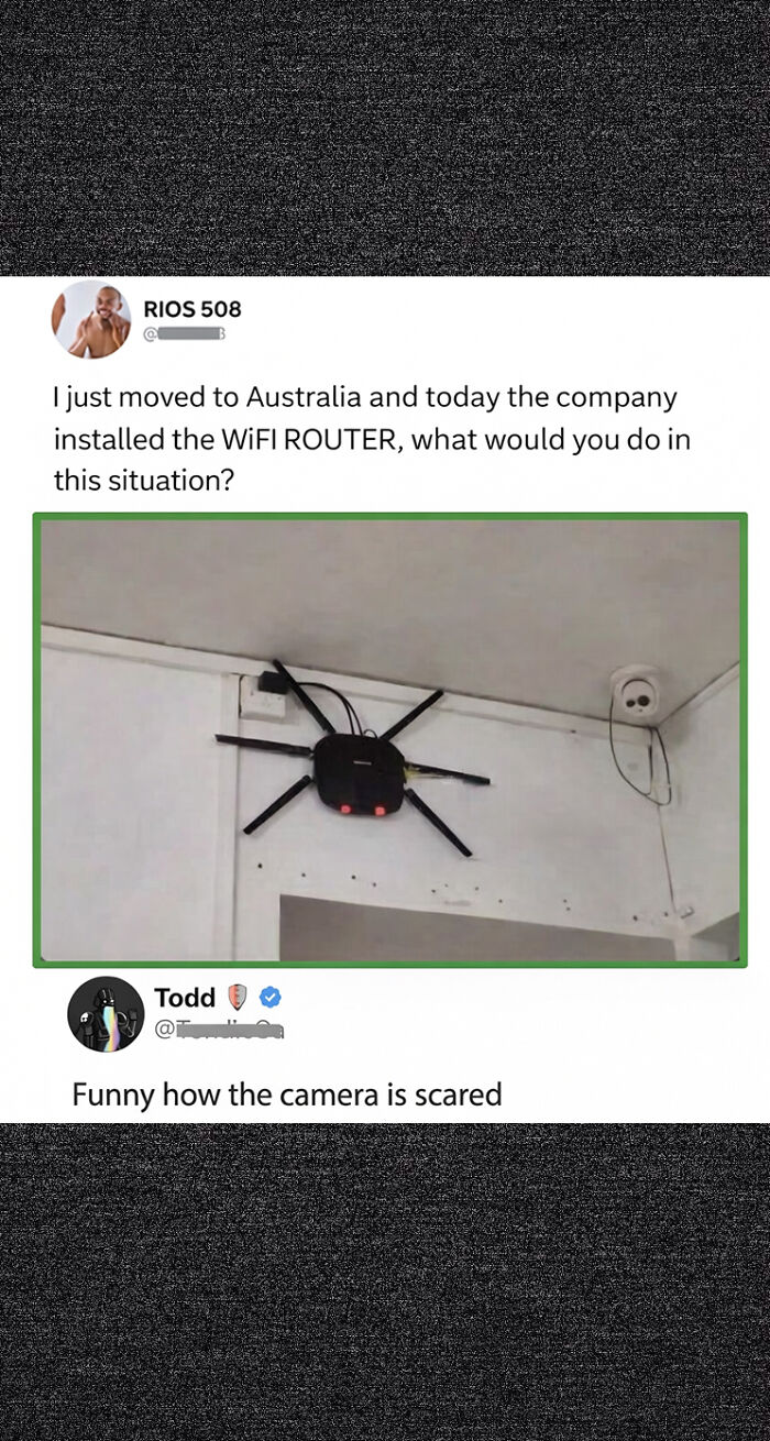 Humorous WiFi router that looks like a spider installed on ceiling