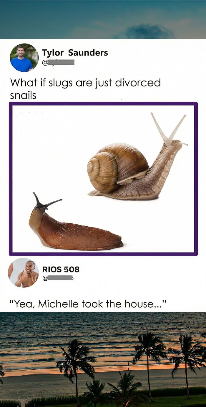 Funny tweet about slugs being divorced snails with photos of slug and snail