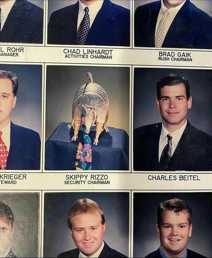 Yearbook with humorous photo of armadillo as security chairman in unhinged post