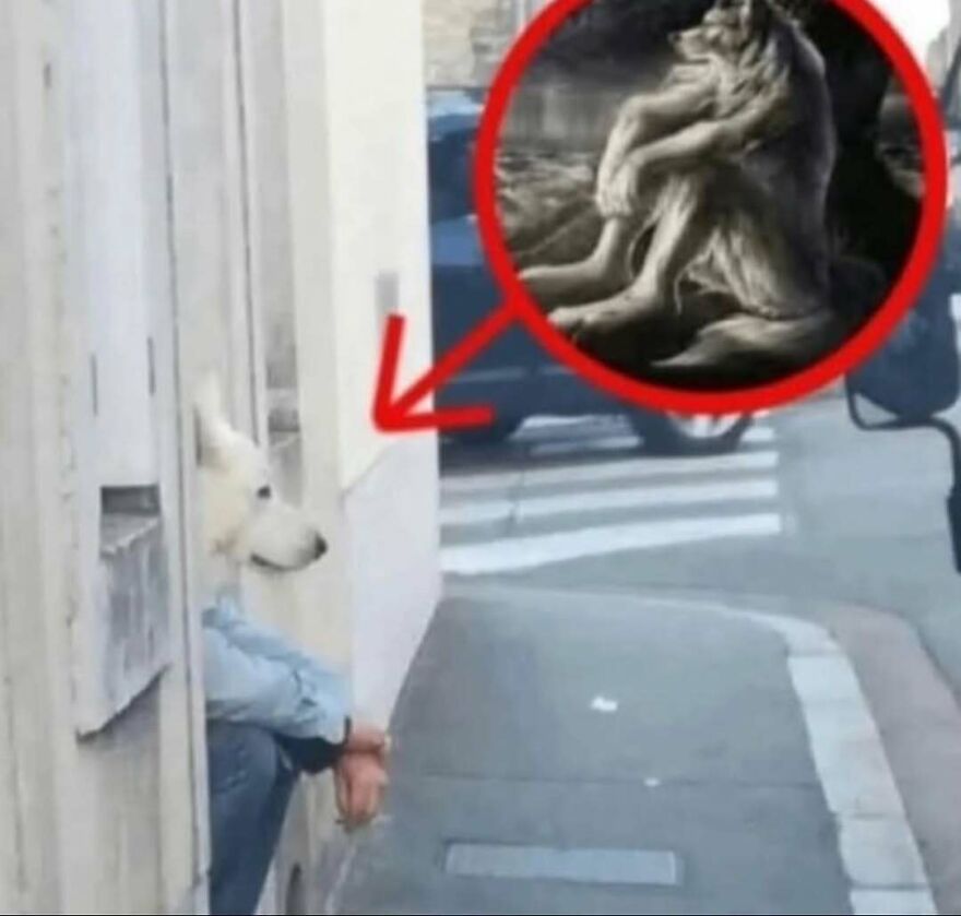 Photo of person with dog head edited to show dog sitting like a human on street corner