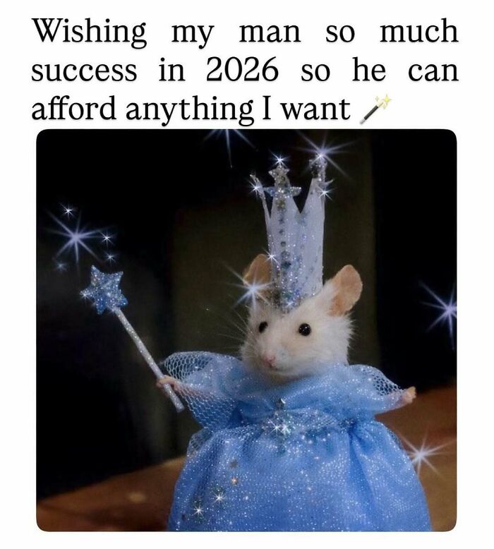 A white mouse in a sparkly blue dress and crown, holding a star wand. A funny random meme to bring laughter.