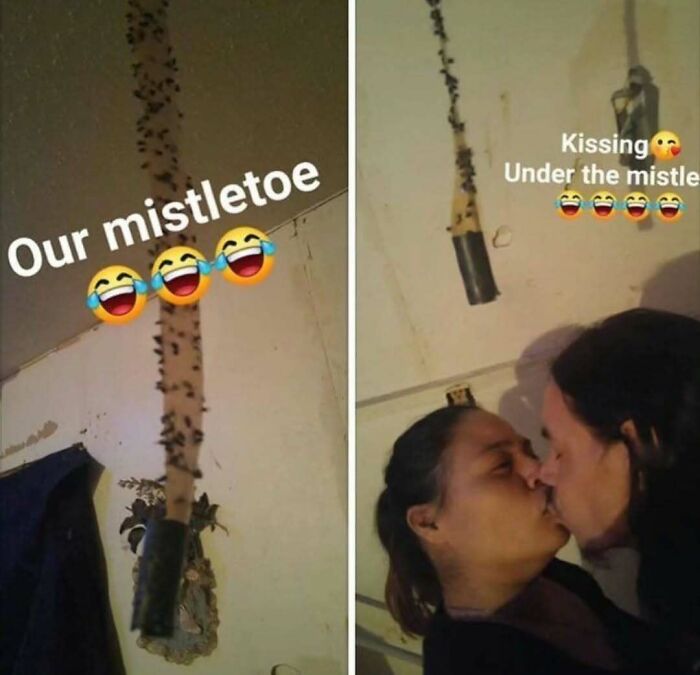 Cringe-Pics-Qringey