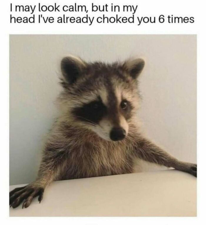 Funniest-Random-Memes-Jokes