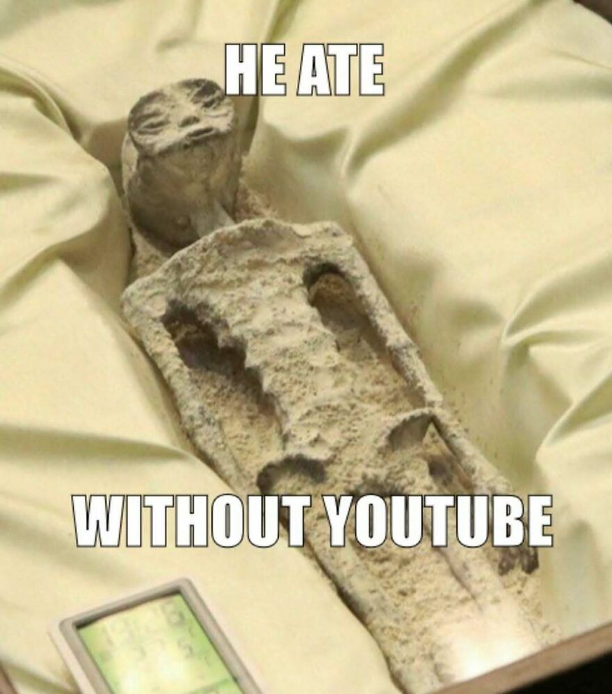 Mummified alien figure with text he ate without YouTube meme