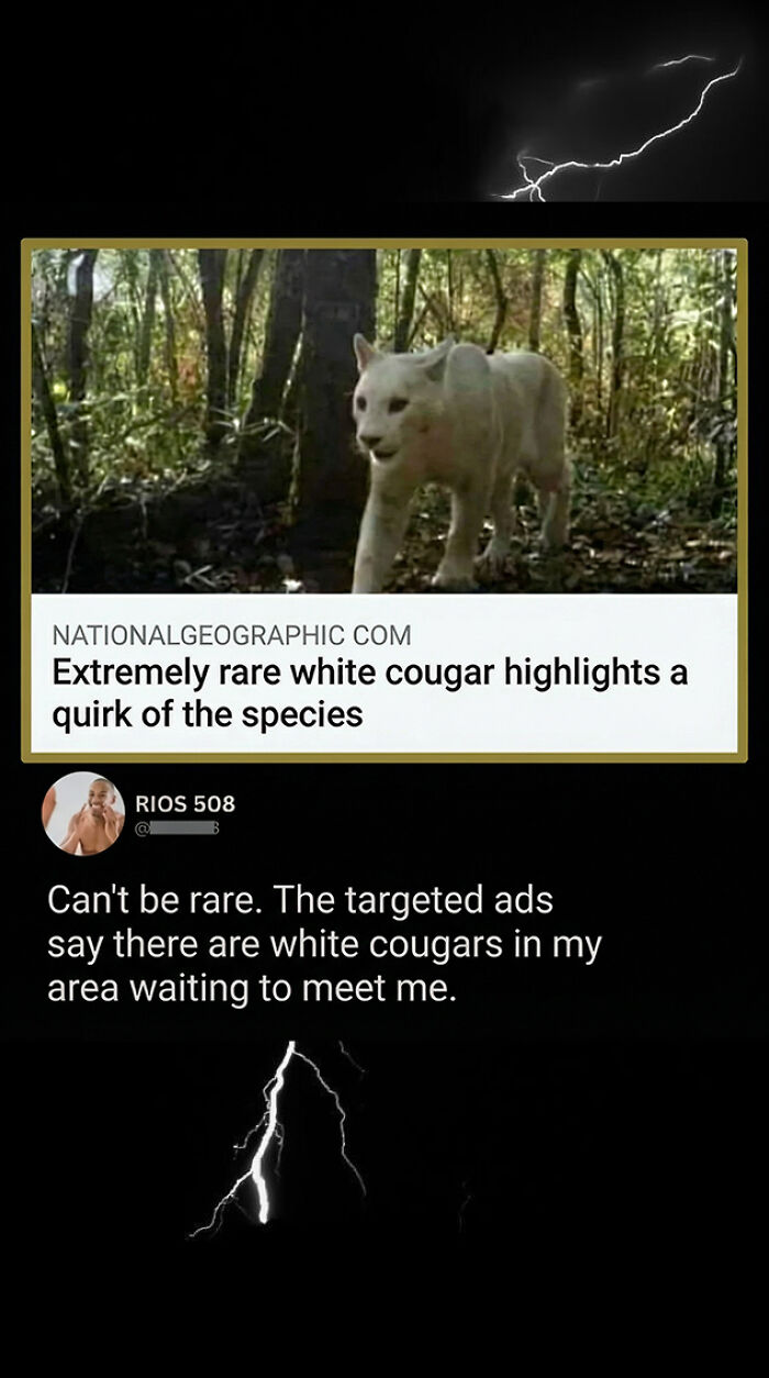 Savage comment on rare white cougar with joke about targeted ads