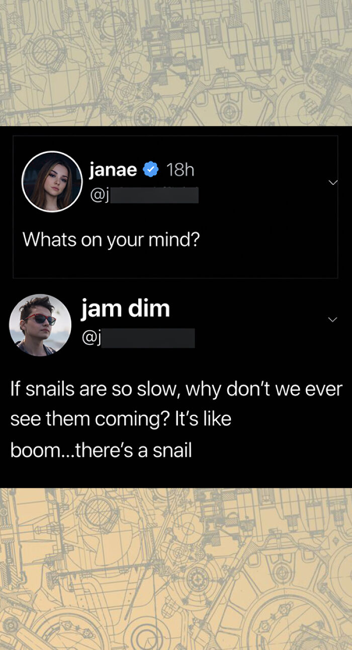 Clever comment about snails being so slow we never see them approach in witty tweet