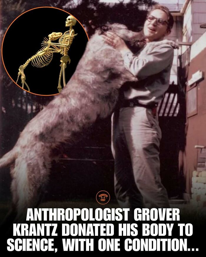 Anthropologist Grover Krantz donated his body to science with unusual conditions