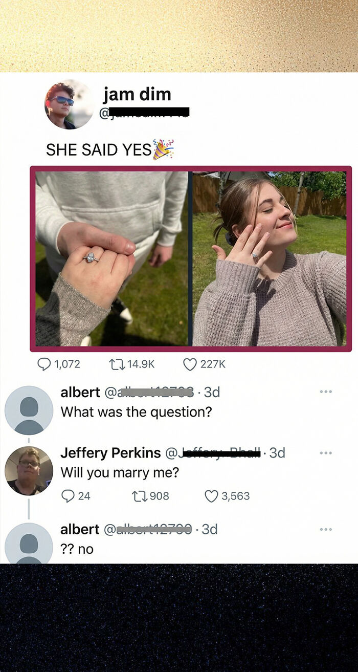 Engagement ring and marriage proposal with savage and clever social media comments