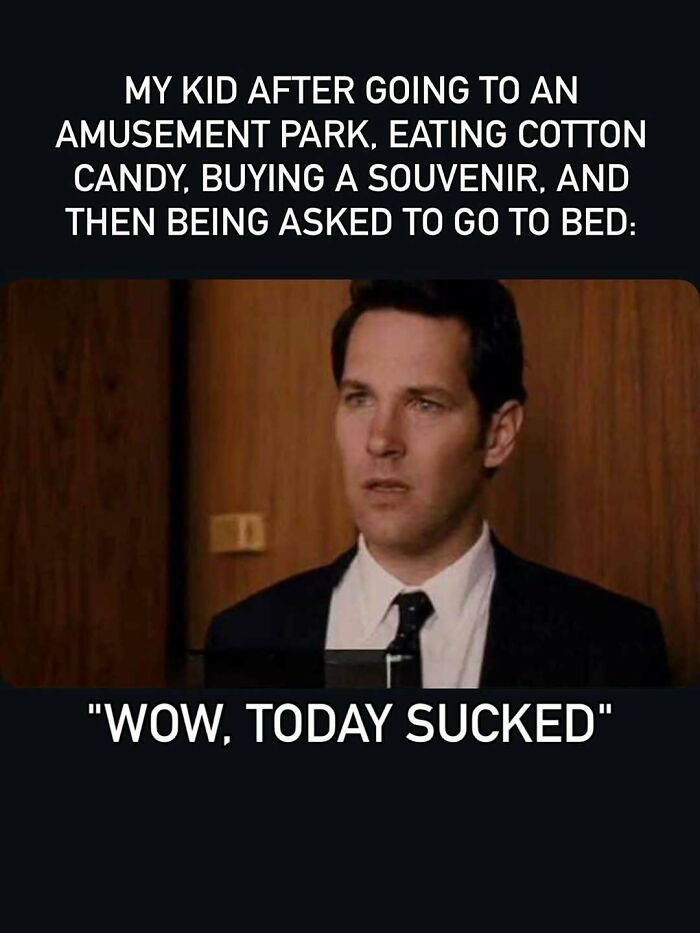 Meme of kid unhappy after amusement park fun with cotton candy and souvenir