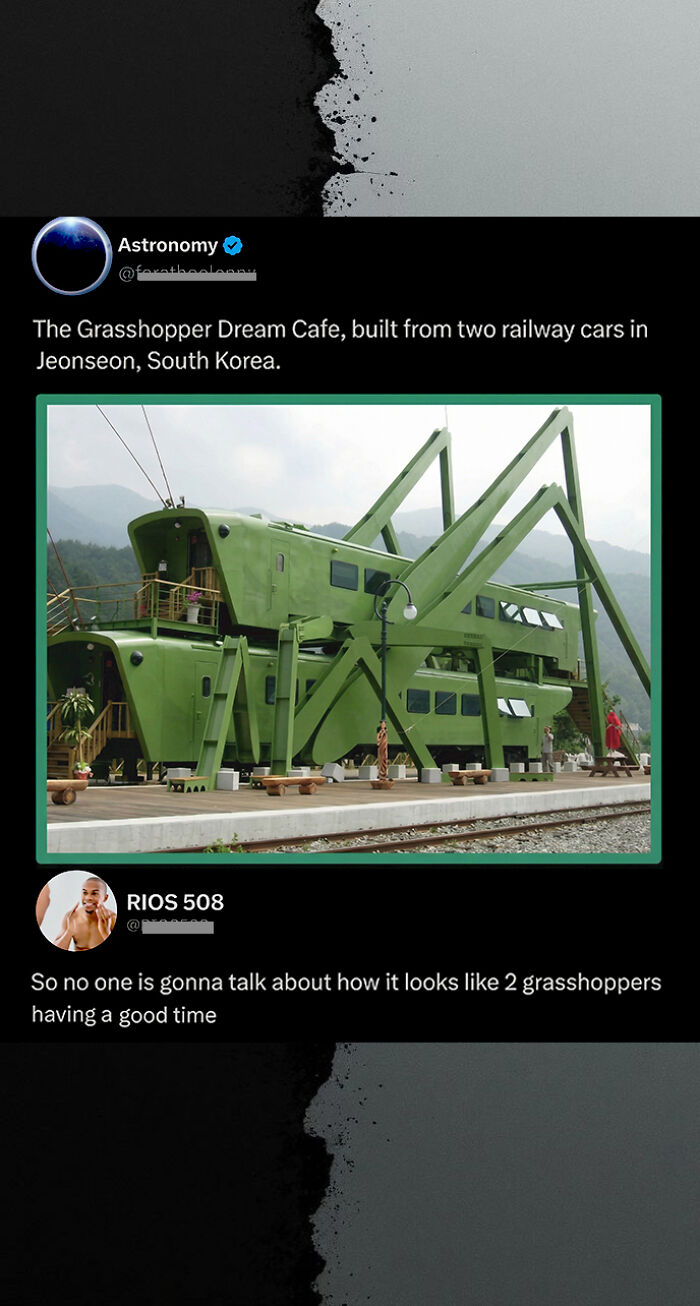 The Grasshopper Dream Cafe in South Korea with funny clever social media comment