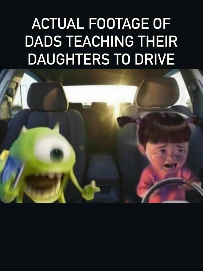 Funny mom meme with animated characters depicting dads teaching daughters to drive