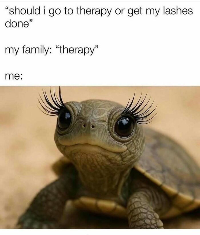 A funny random meme of a baby turtle with long fake eyelashes, humorously captioned about choosing lashes over therapy.