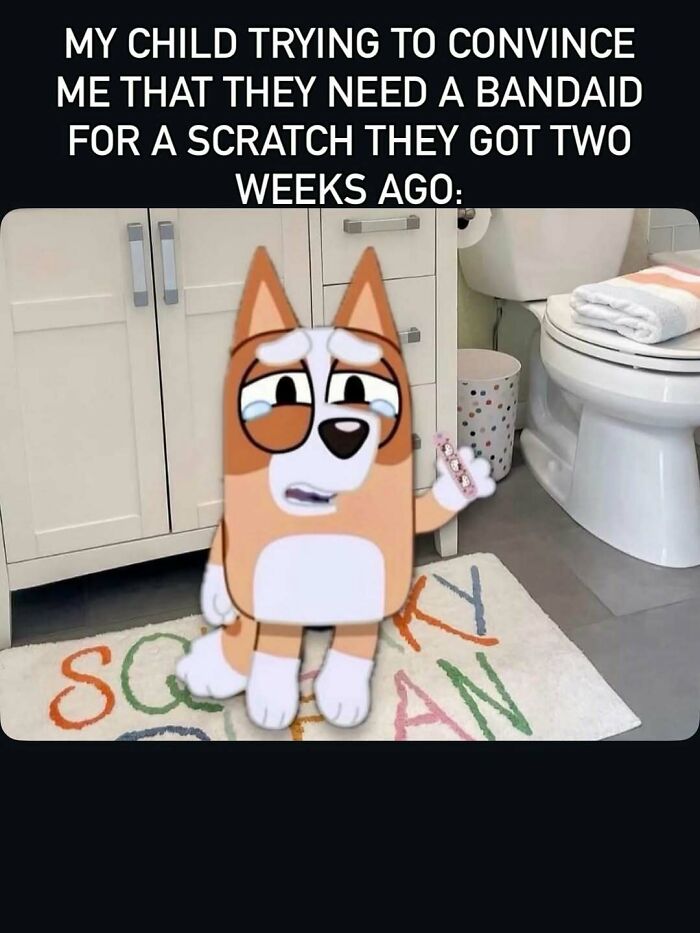 Funny child meme with a dog character asking for a bandaid again