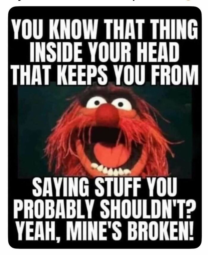 Animal from The Muppets laughing, with text about a broken filter. A funny meme to bring laughter.