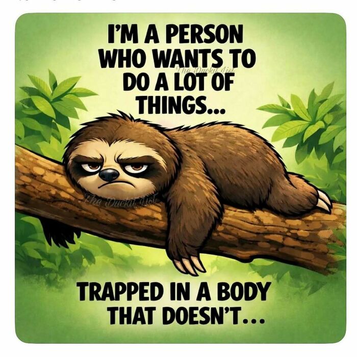 A grumpy sloth on a tree branch with text: "I'm a person who wants to do a lot of things... trapped in a body that doesn't..." for memes and laughter.