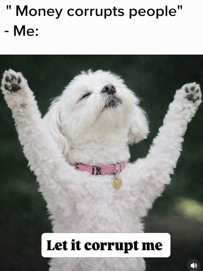 A funny meme of a white dog with arms raised, eyes closed, and text saying Money corrupts people - Me: Let it corrupt me, bringing out the laughter.