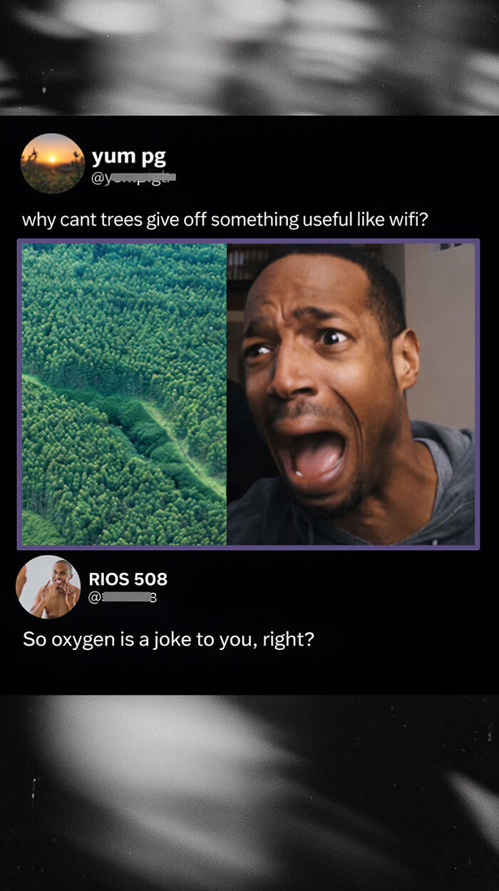 Savage comment about trees giving off wifi and clever oxygen joke reply