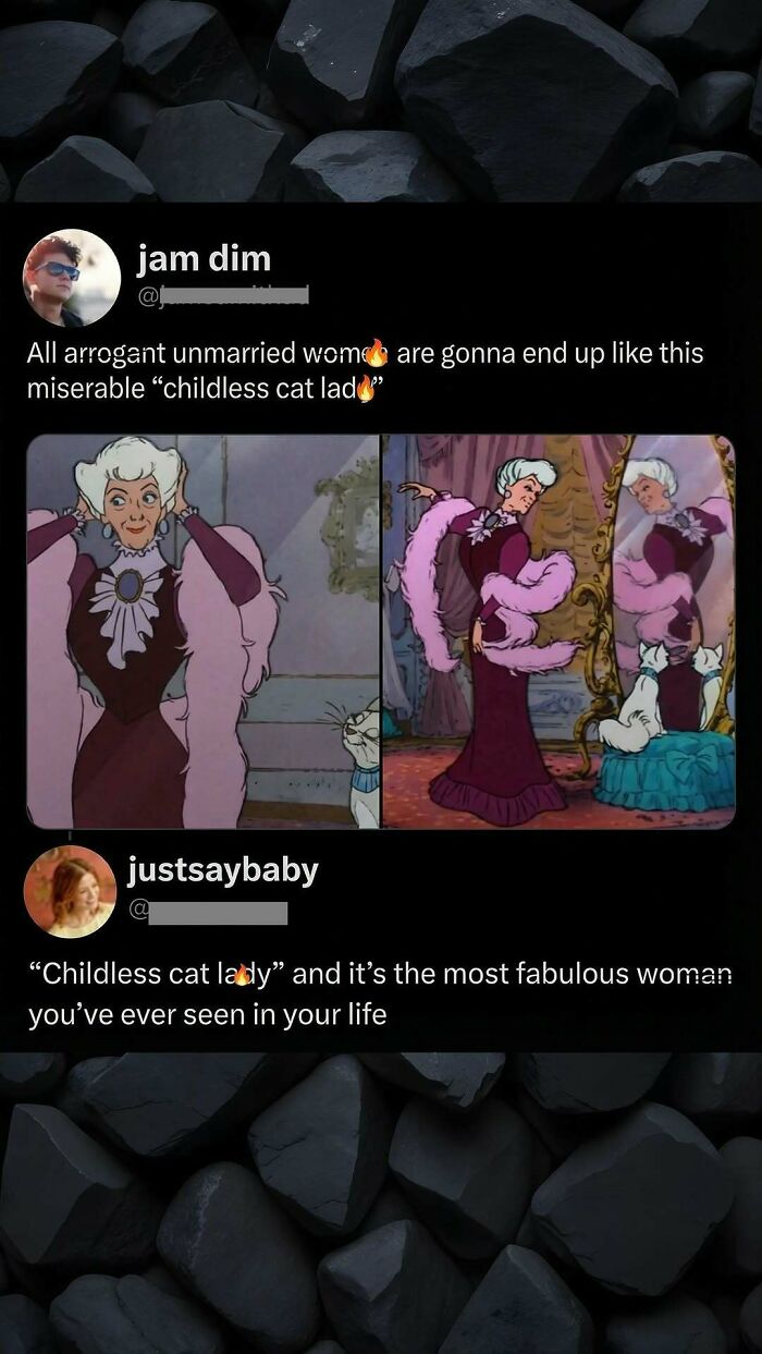 Clever comment on childless cat lady with animated cat images