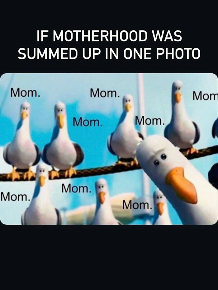 Motherhood meme with seagulls repeatedly saying mom representing funny mom memes