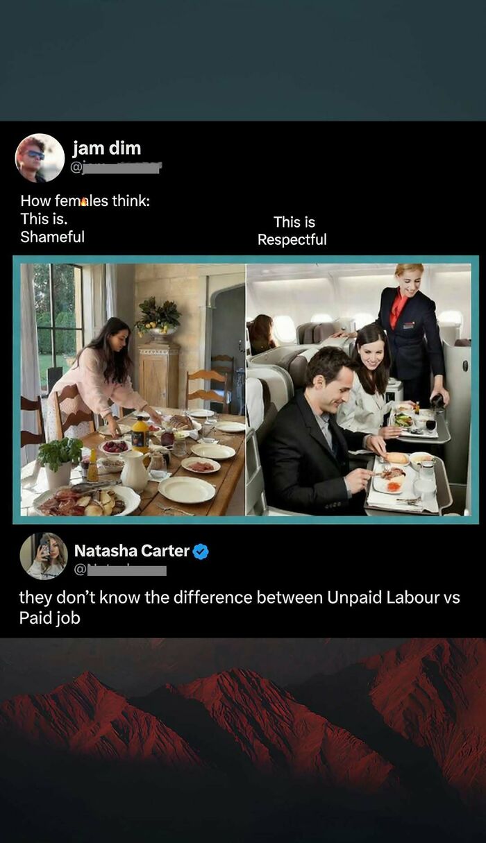 Savage comment comparing unpaid labor vs paid job with images of domestic and paid work