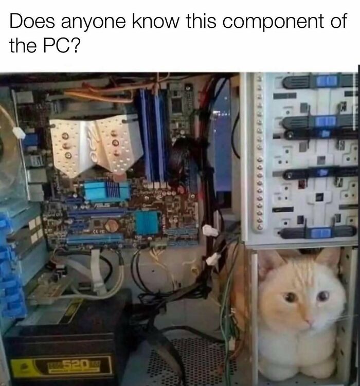 PC interior with a cat inside as a meme about computer components